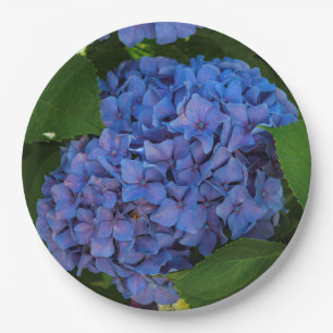 Assiettes En Carton Couleurs Bleues - L'Hydrangée Bleue