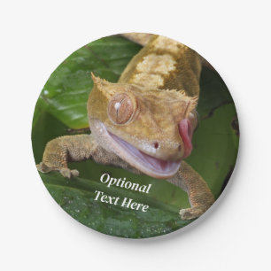 Assiettes En Carton Crested Gecko