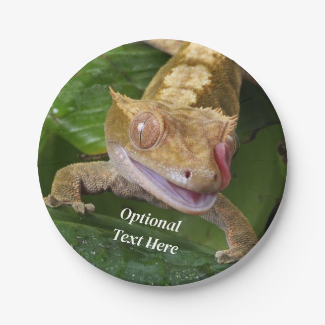 Assiettes En Carton Crested Gecko (Devant)