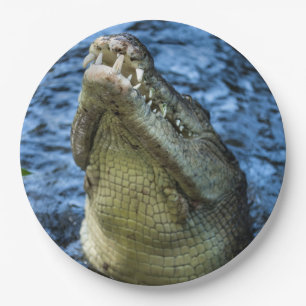 Assiettes En Carton Crocodile Dents Eau