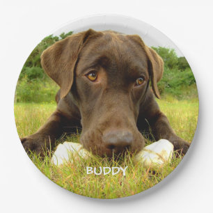 Assiettes En Carton Cute chocolat Labrador Custom