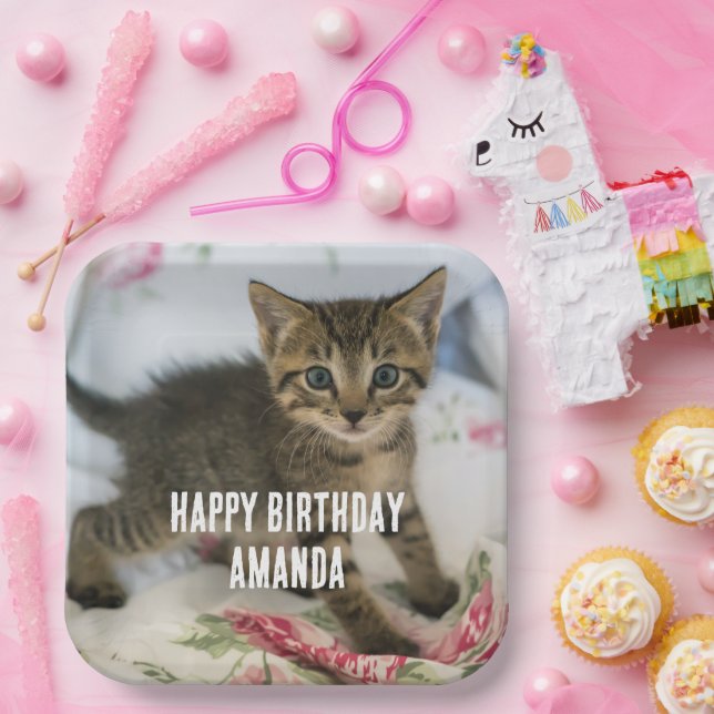Assiettes En Carton Cute Tabby Kitten L'air surpris à l'anniversaire (Fête)