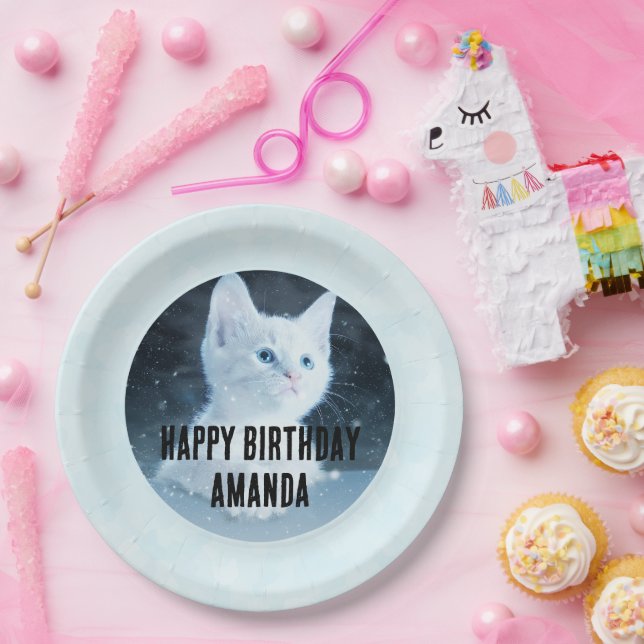 Assiettes En Carton Cute White Kitten Photo Anniversaire (Fête)