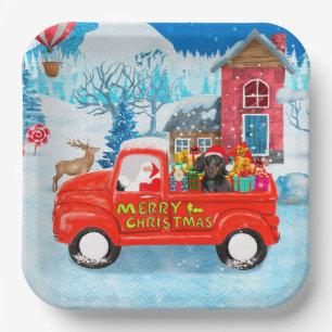 Assiettes En Carton Dachshund dans une livraison de Noël