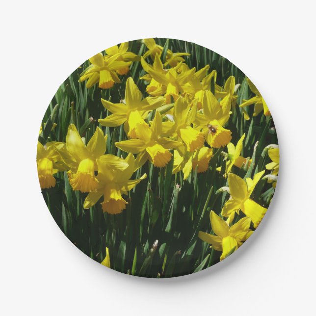 Assiettes En Carton Daffodiles Jaunes I Fleurs De Printemps Cheveux (Devant)