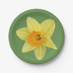 Assiettes En Carton Daffodique de printemps jaune