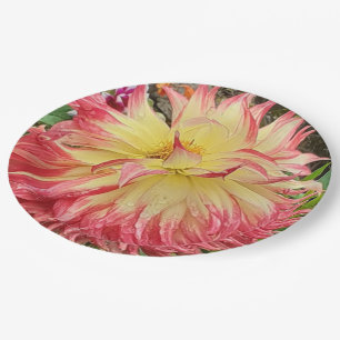 Assiettes En Carton Dahlia rose et jaune
