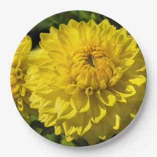Assiettes En Carton Dans Le Jardin Dahlia 3