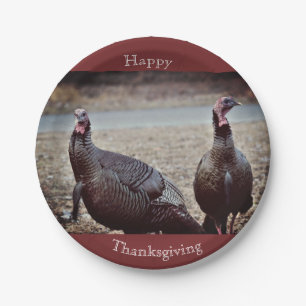 Assiettes En Carton Déchets Sauvages Plaque Papier Thanksgiving