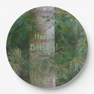 Assiettes En Carton Deep In The Pines Joyeux Anniversaire