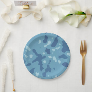 Assiettes En Carton Dérive de caméra arctique