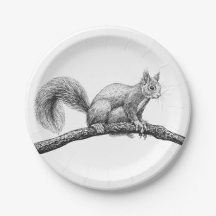 Assiettes En Carton Dessin d'écureuil