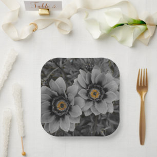 Assiettes En Carton Deux de la même espèce
