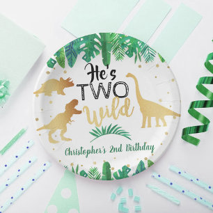 Assiettes En Carton Deux Dinosaures Sauvages garçons 2e fête d'anniver