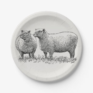 Assiettes En Carton Deux moutons illustrés
