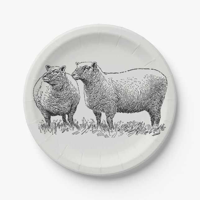 Assiettes En Carton Deux moutons illustrés (Devant)