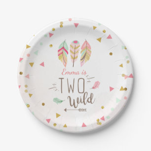Assiettes En Carton Deux Wild Birthday Mint Pink Gold 2nd Girl Tribal