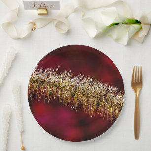 Assiettes En Carton Dew du matin