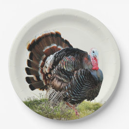 Assiettes En Carton Dinde sauvage