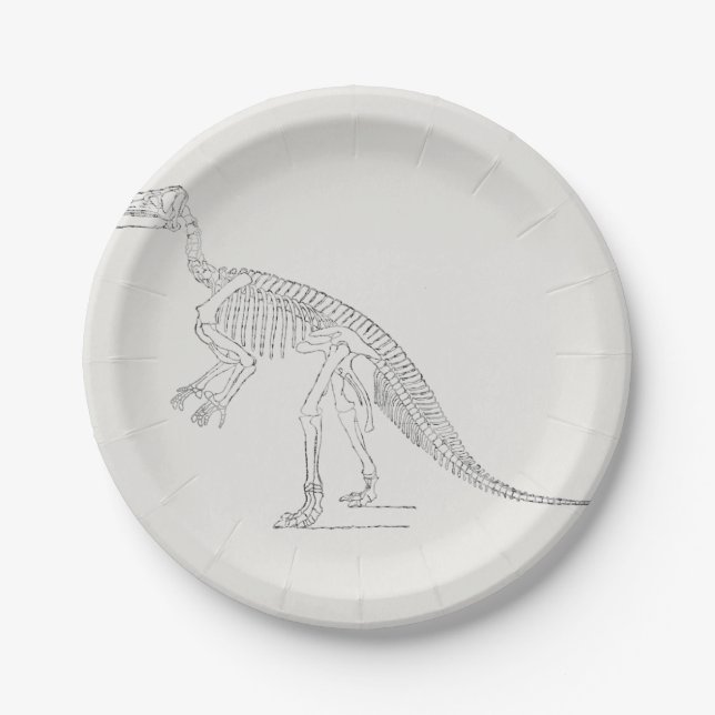 Assiettes En Carton Dinosaur Skeleton Art (Devant)