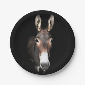 Assiettes En Carton Donkey