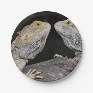 Assiettes En Carton Dragon barbu