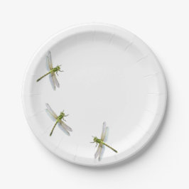 Assiettes En Carton Dragonfly's