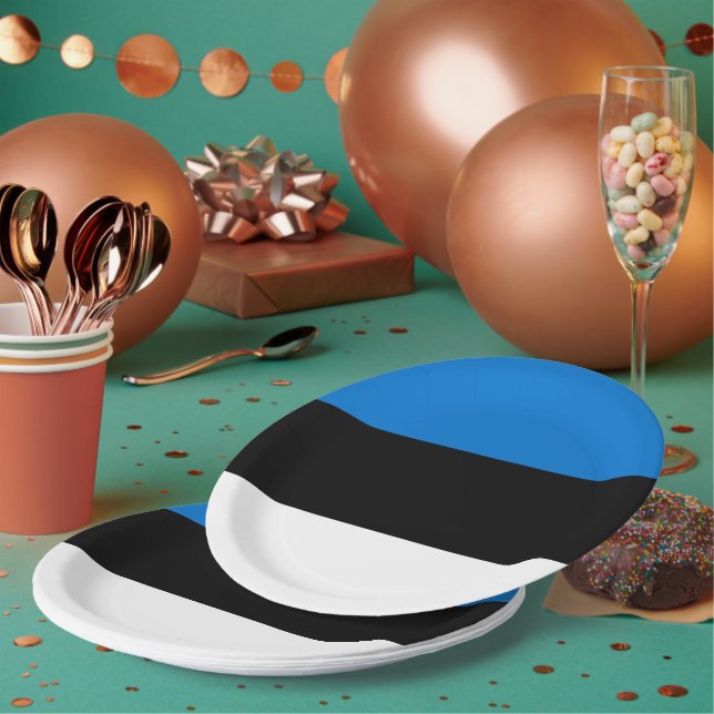 Assiettes En Carton Drapeau de l'Estonie (Multi)