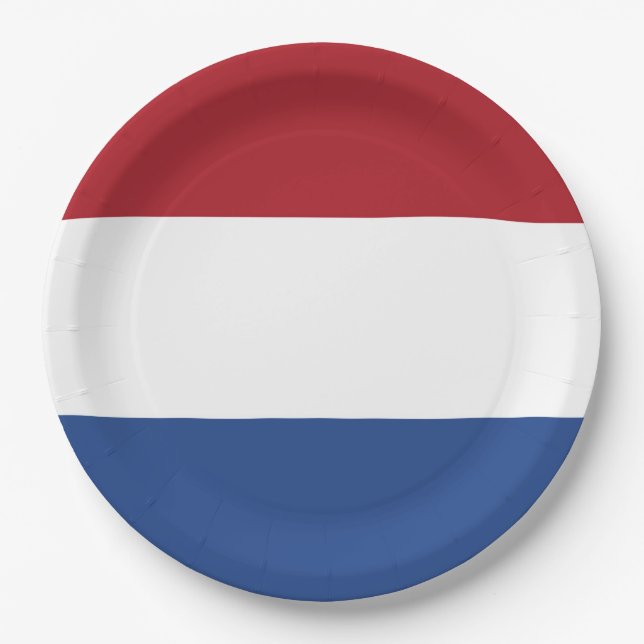 Assiettes En Carton Drapeau de Pays-Bas patriotique (Devant)