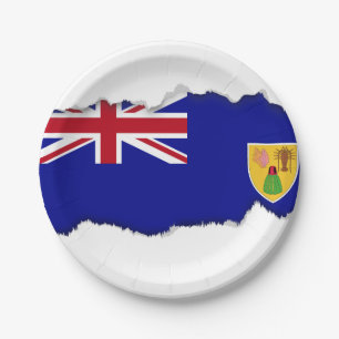 Assiettes En Carton Drapeau des Îles Turques et Caïques