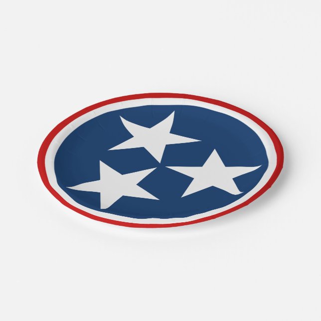 Assiettes En Carton Drapeau d'état du Tennessee Bleu Blancs étoiles (Angle)
