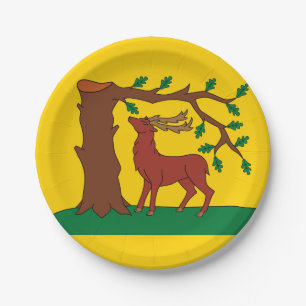 Assiettes En Carton Drapeau du comté historique de Berkshire Plaques e