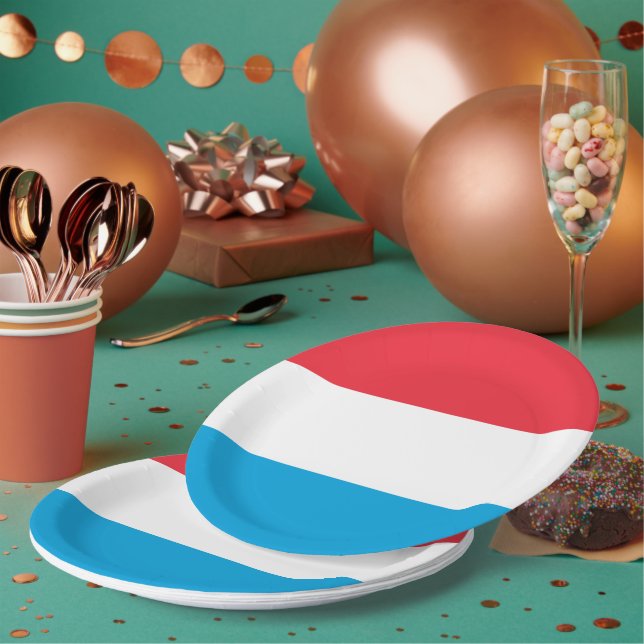 Assiettes En Carton Drapeau du Luxembourg (Multi)
