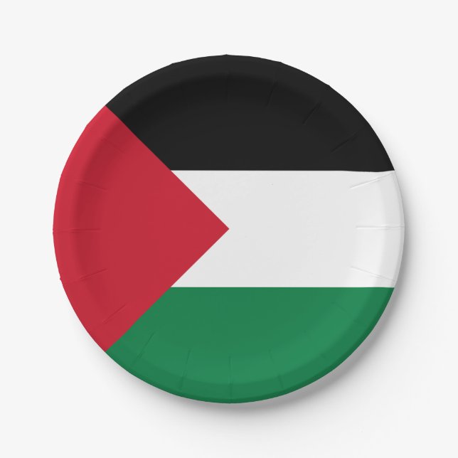 Assiettes En Carton Drapeau palestinien (Devant)