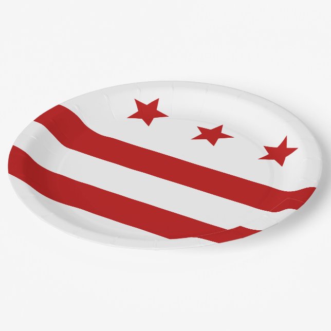 Assiettes En Carton Drapeau urbain de Washington D.C. (Angle)