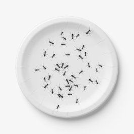 Assiettes En Carton Drôle fourmi. Les fourmis partout