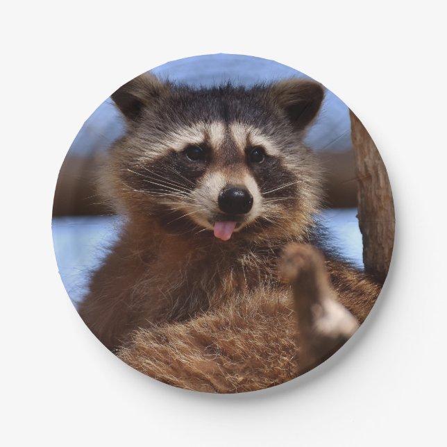 Assiettes En Carton Drôle Raccoon Sticking It's Tongue Out (Devant)