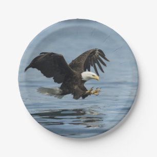 Assiettes En Carton Eagle à l'approche