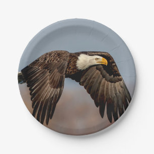 Assiettes En Carton Eagle chauve en vol