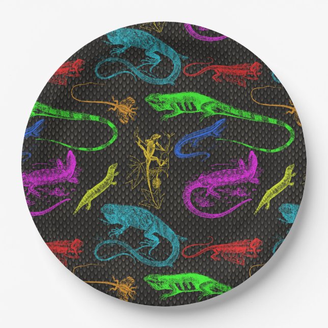 Assiettes En Carton Échelles ! (Devant)