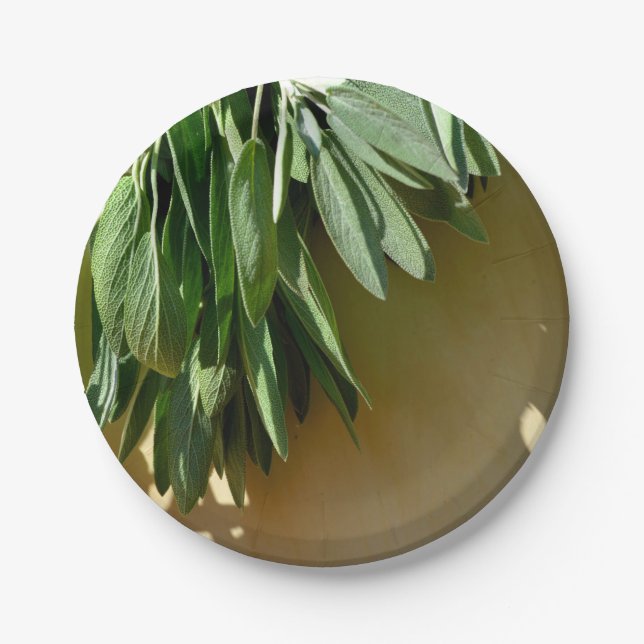 Assiettes En Carton Élégante plante verte feuille herbes fraîches coup (Devant)