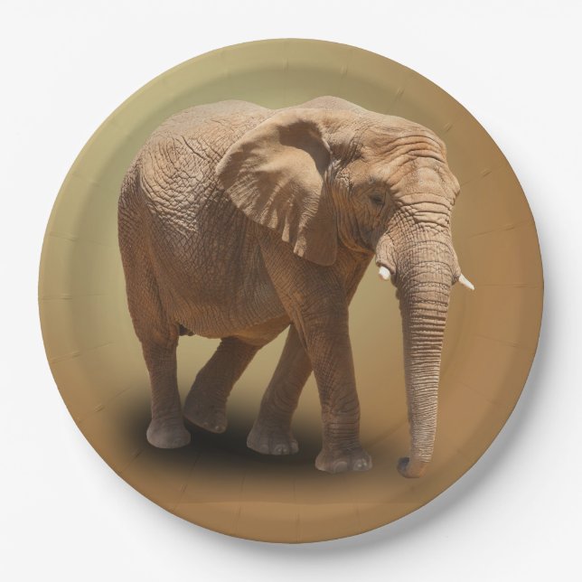 ASSIETTES EN CARTON ÉLÉPHANT (Devant)