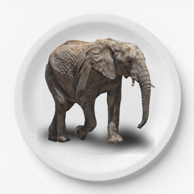 ASSIETTES EN CARTON ÉLÉPHANT (Devant)