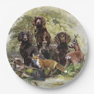 Assiettes En Carton Espagnols allemands ( Deutscher Wachtelhund )