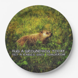 Assiettes En Carton Étreignez les plats d'un groundhog aujourd'hui