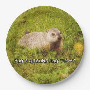Assiettes En Carton Étreignez les plats d'un groundhog aujourd'hui