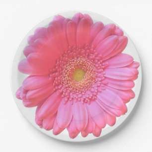 Assiettes En Carton Faisée de gerbera rose