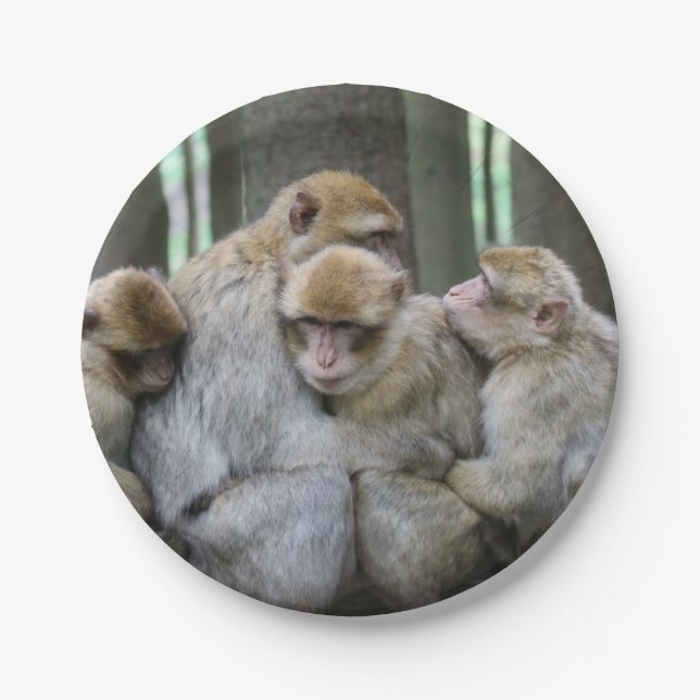 Assiettes En Carton Famille Cute Ape Photo Hug (Devant)
