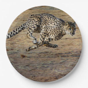 Assiettes En Carton Faune Cheetah Running Photo