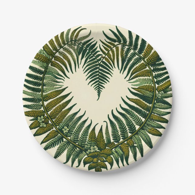 Assiettes En Carton Fern (Devant)
